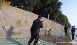 疯狗2008在线观看,狂野岁月，激情燃烧的青春岁月