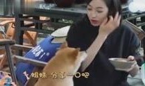 娱乐八卦吃瓜直播姐妹视频,揭秘娱乐八卦吃瓜姐妹的幕后故事
