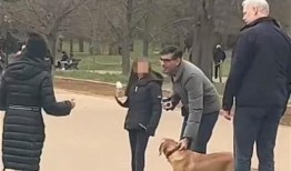 网友爆料遛狗视频,遛狗趣事多，萌宠瞬间引网友热议