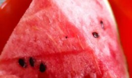 爆料西瓜小方杯做法视频,夏日清凉饮品制作秘籍大公开