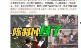 辰宇被爆料视频,揭秘背后惊人真相
