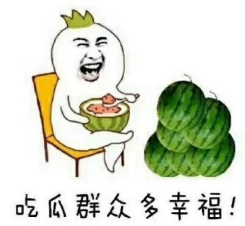 娱乐圈吃瓜用什么看